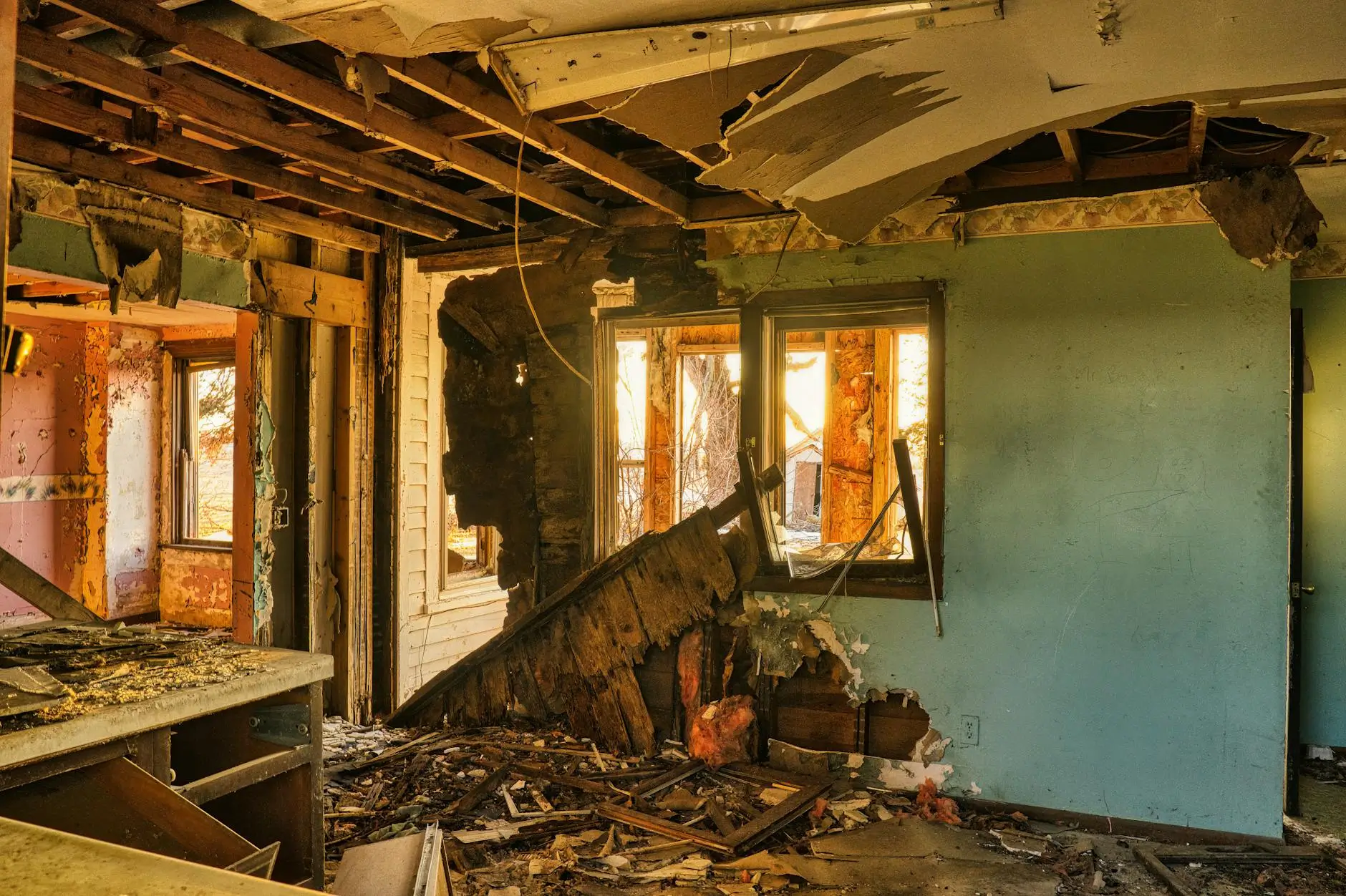 Orlando's Leading Mold Removal Company — Orlando, FL