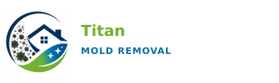 Titan Mold Removal